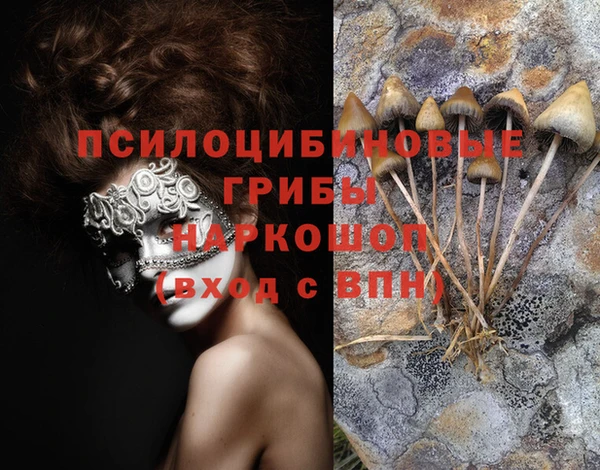гашик Абинск