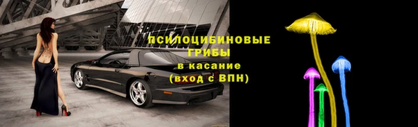гашик Абинск